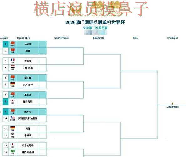 全面分析世界杯竞猜网站：从数据分析到直播观看全流程解析 - 世界杯官方信息